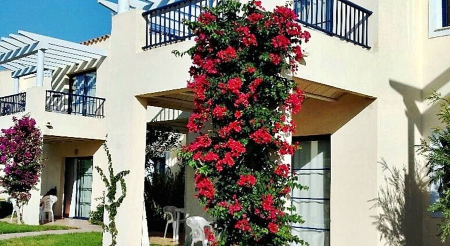 Apartamentos Primasud 푼타프리마 외부 사진